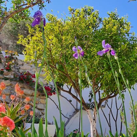 Arhondia House Villa Ierapetra  Ngoại thất bức ảnh