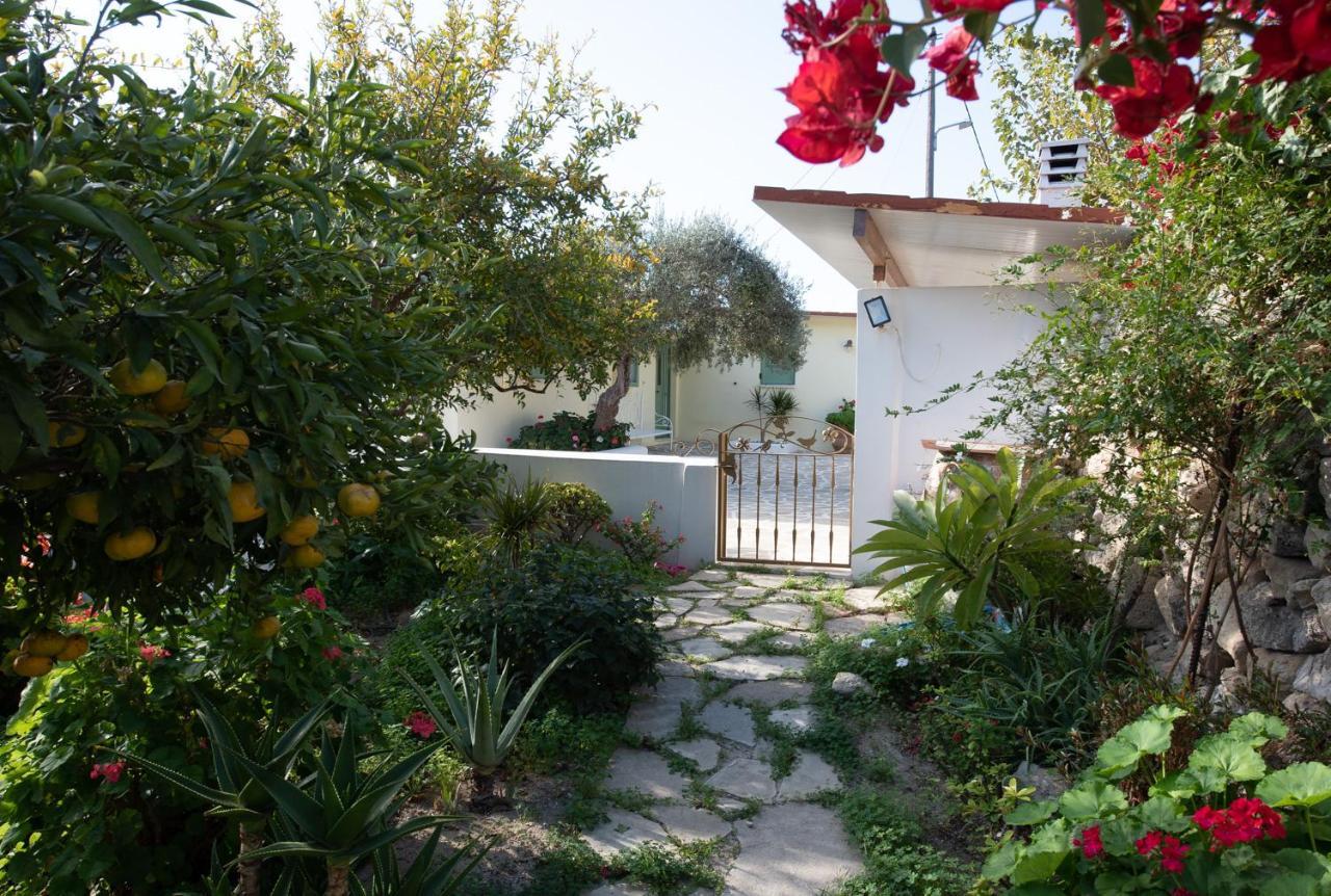 Arhondia House Villa Ierapetra  Ngoại thất bức ảnh