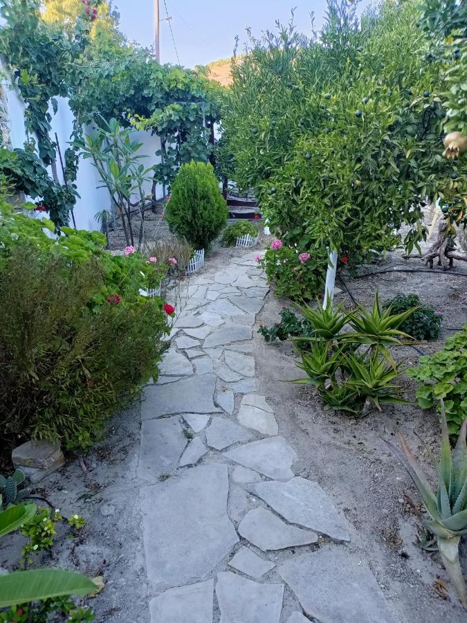 Arhondia House Villa Ierapetra  Ngoại thất bức ảnh