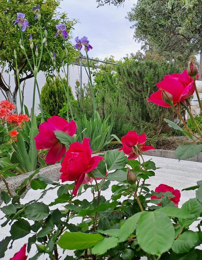 Arhondia House Villa Ierapetra  Ngoại thất bức ảnh