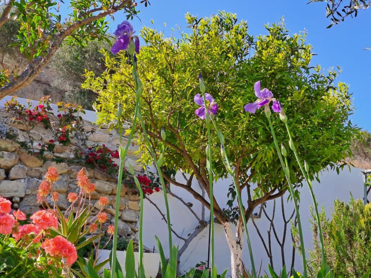 Arhondia House Villa Ierapetra  Ngoại thất bức ảnh